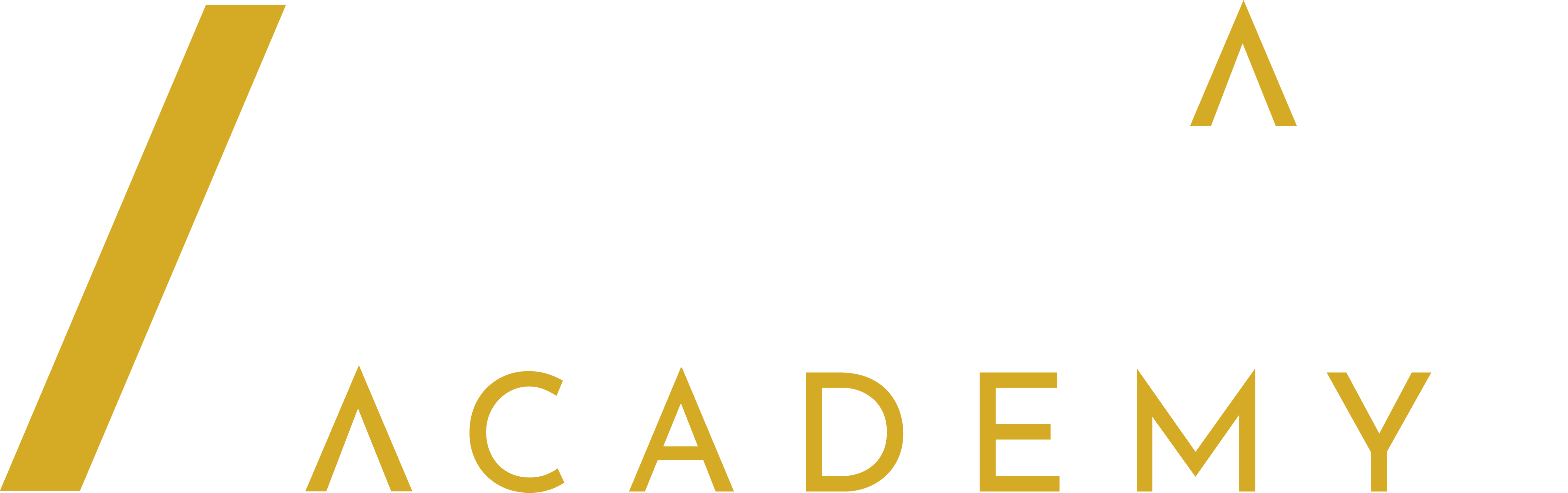 Sierra Division Academy